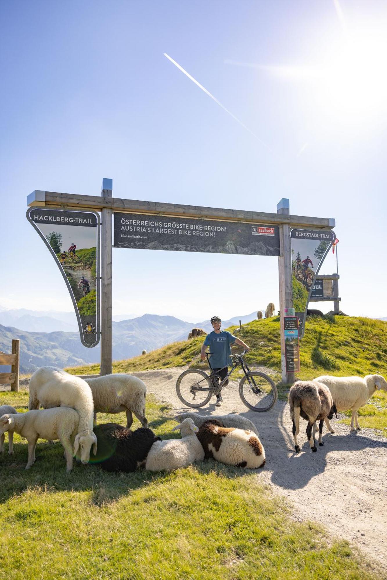 Landhaus Saalbach - Joker Card Included In Summer Екстериор снимка